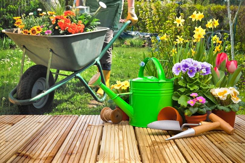Mejora tu jardín con el alquiler de herramientas de jardinería en Madrid - Alquileres Majo