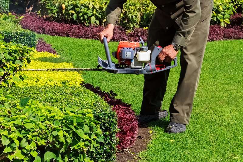 Cómo eliminar las malas hierbas de tu jardín